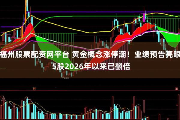 福州股票配资网平台 黄金概念涨停潮！业绩预告亮眼 5股2026年以来已翻倍